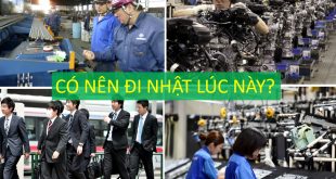 Có nên đi xuất khẩu lao động hay du học Nhật Bản lúc này?